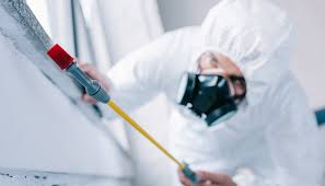 Best Commercial Pest Control  in West Hammond, NM